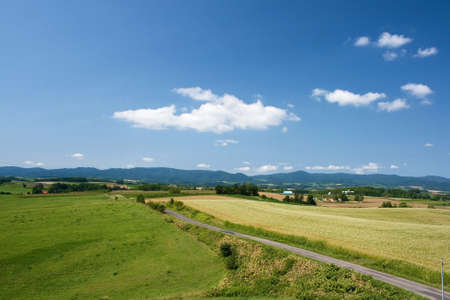 Meadowの写真素材