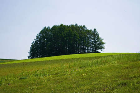 Meadowの写真素材