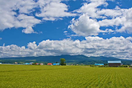 Landscape