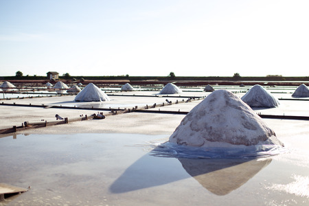 salt panの写真素材