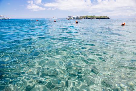 Limpidの写真素材