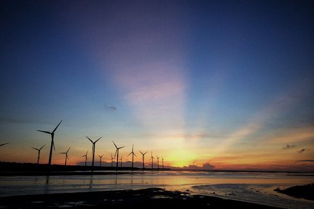 sunset at a wetlandの写真素材