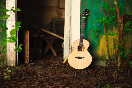 A wooden acoustic guitar instrument placed outdoors against a green rustic country forest shed.の写真素材
