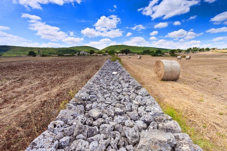 Two cultivated fields in Italyの写真素材