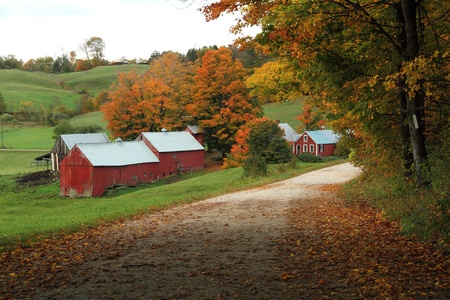 A country road leading to the Jenny Farm in Vermont.の写真素材