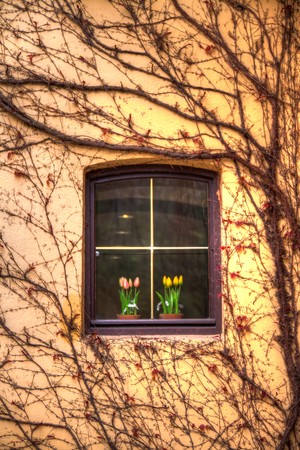 A German style window with vines and tulips.