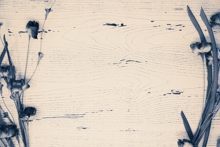 White wooden background providing copy space with dried plants using a blue color pallet.の写真素材