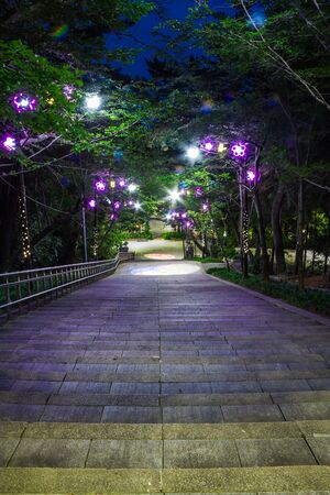 A nighttime view of looking down stairs in Jewangsan Park in Chinhae, Shouth Korea.の写真素材