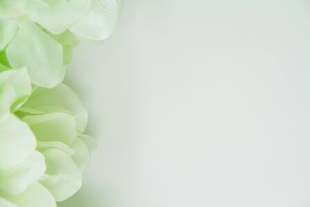 Closeup of artificial green flowers on a white background suitable for wedding invitations and other announcements that need a soft background.の写真素材