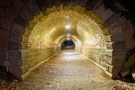 Nighttime image looking through Inscope Arch in New York Cityâs Central Park with falling leaves inside the tunnel.の写真素材