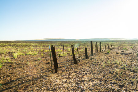 Old wood fence with fire damage on a flat prairie under a blue sky.