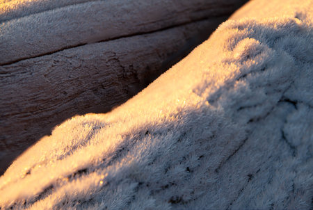 Wood covered in a hoar frost during sunrise on a winter morning.の写真素材