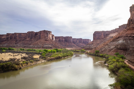 The Green River in the morning as it flows through mineral canyon in Utah.