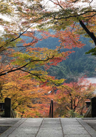 Look over the top of stairs and into the colors of a Japanese fall and a mountain in the distance.