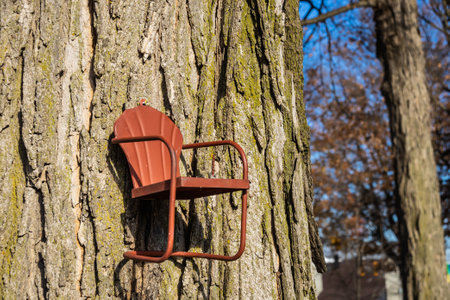 A small tree ornament of a chair on the side of a tree in sunlight.の写真素材