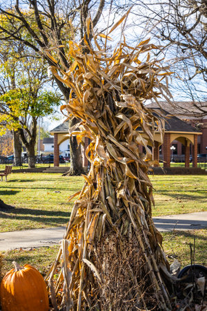 An autumn seasonal display of pumpkins, straw and corn stalks on a sunny afternoon.の写真素材