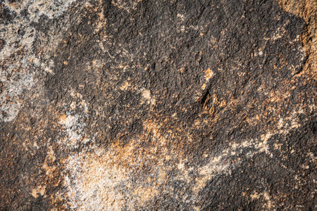 Close up of a solid granite rock in a variety of yellow and brown shades of color.の写真素材