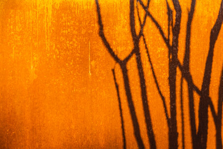 Iron rusty wall in direct sunlight with the shadow of a plant cast upon.の写真素材