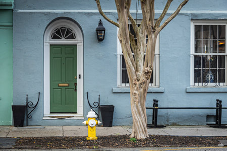 The faÃ§ade of a brightly painted blue home on a street with a tree and a fire hydrant in ambient light.の写真素材