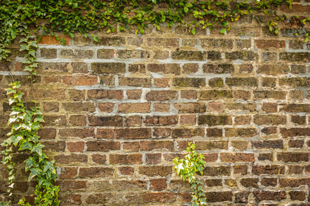A blank red brick wall that is heavily weathered with plenty of copy spaceの写真素材