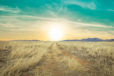 A dirt road leading off into the distance to mountains on the horizon uat sunset.の写真素材