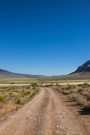 A dirt road stretching across a vast arid valley in northern Arizona with a clear blue sky.の写真素材
