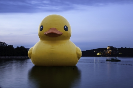 The bull and the rhubarb (yellow) duck in Summer Palace of Beijing, China.のeditorial素材