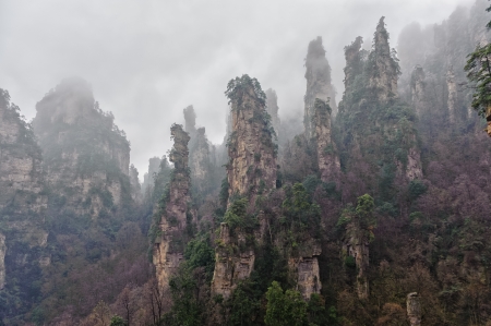 The typical Zhangjiajie mountain in fog.の写真素材