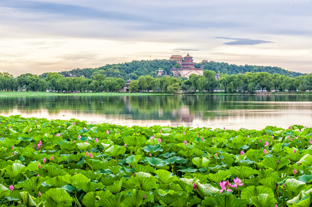 The Summer palace with lotus flower under the sunset in Beijing.のeditorial素材