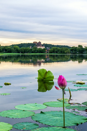 The Summer palace with lotus flower under the sunset in Beijing.のeditorial素材