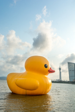 The bull and the Rubber Duck  in Macao at May 2016.のeditorial素材