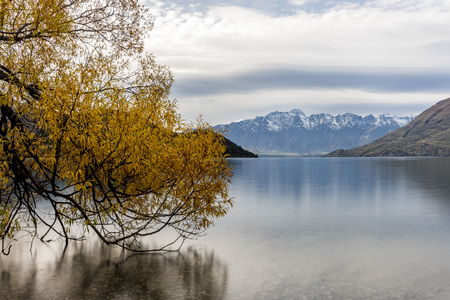 The lake Wakatipu with colourful trees in Autumn south island of New Zealand.の写真素材