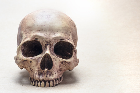 skull on brown vintage paperの写真素材