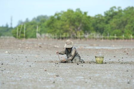 women find shellfish in soil