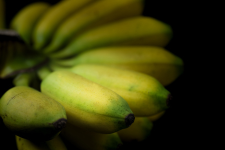 a kind of Thai banana isolated on blackの写真素材