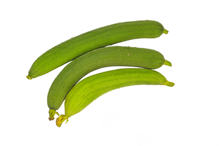 fresh Luffa isolated on white backgroundの写真素材