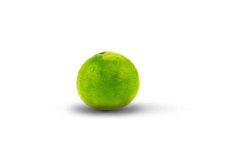 Fresh green LEMON A black shadow on a white backgroundの写真素材
