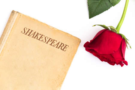 An old book by Shakespeare and a red rose sit on a white background; symbol of love and passionの写真素材