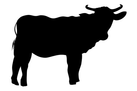 Vector Manual Draw Silhouette cow, allowed to be slaughted in idul adha&#xA;のイラスト素材
