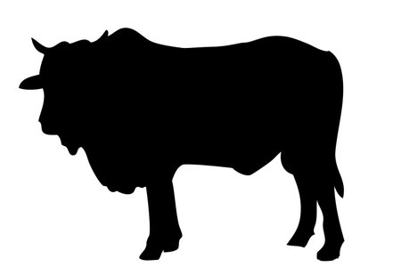 Manual Draw Silhouette cow, allowed to be slaughted in idul adha&#xA;のイラスト素材