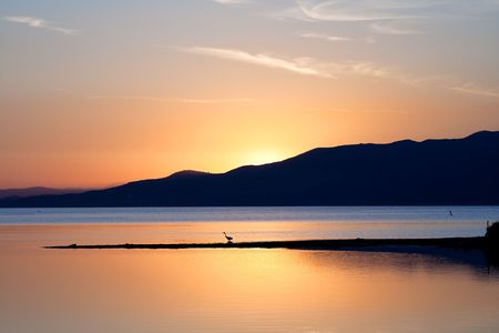 Heron is getting ready for the nightfall in this beatiful sunset. Sun is going down just behind the...