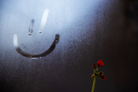 Foggy glass on window with drawn Smiley happy concept photo with copyspace and red flowerの写真素材