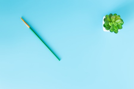 green succulent and brush blue background Place for the inscription and copyspace.