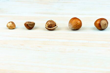 Hazelnuts in wooden bowl. Food mix background, top view, copy space, bannerの写真素材