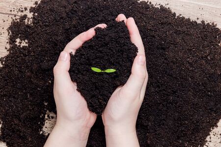 World soil day concept: Human hands holding seed tree with soil on blurred agriculture field...