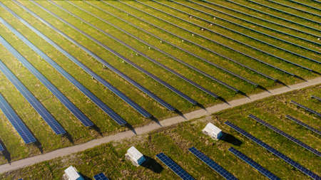 Solar panels power plant using renewable solar energy with sun