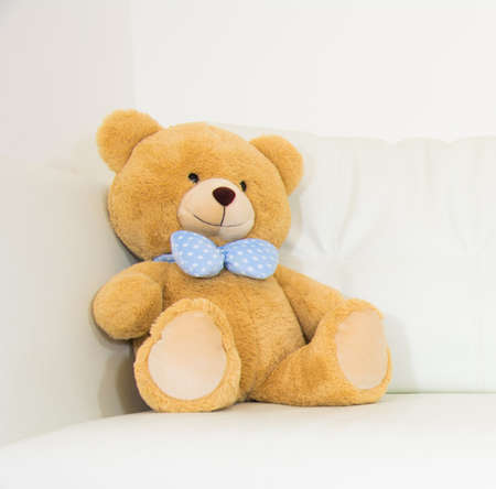 Brown Bearの写真素材