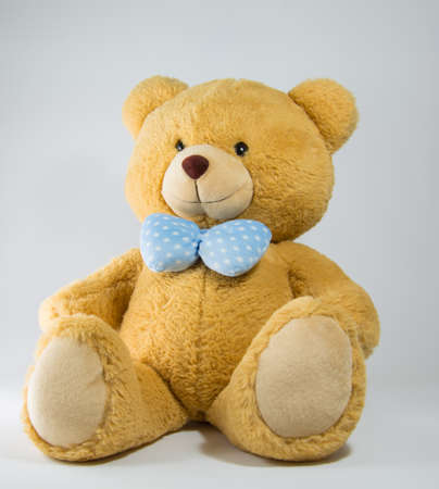 Brown Bear 1の写真素材