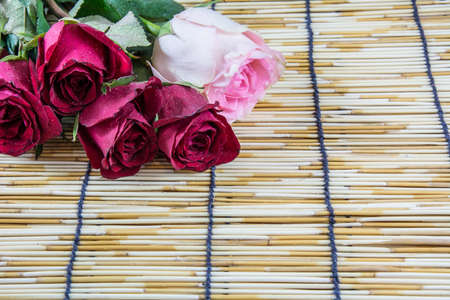 Roses placed on a woven wood blinds 2の写真素材