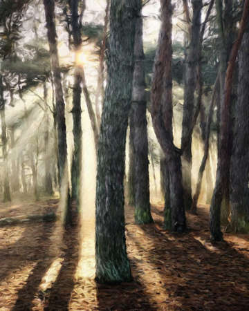 Watercolor and pastel drawing Finland  nature landscape, mystical foggy forest, autumn trees trend popular print for poster, textile or canvas. Modern fine arts design wallpaper. Wall art oil paintingの写真素材